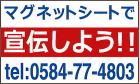 色数サンプル：2色の場合。