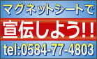色数サンプル：フルカラーの場合。